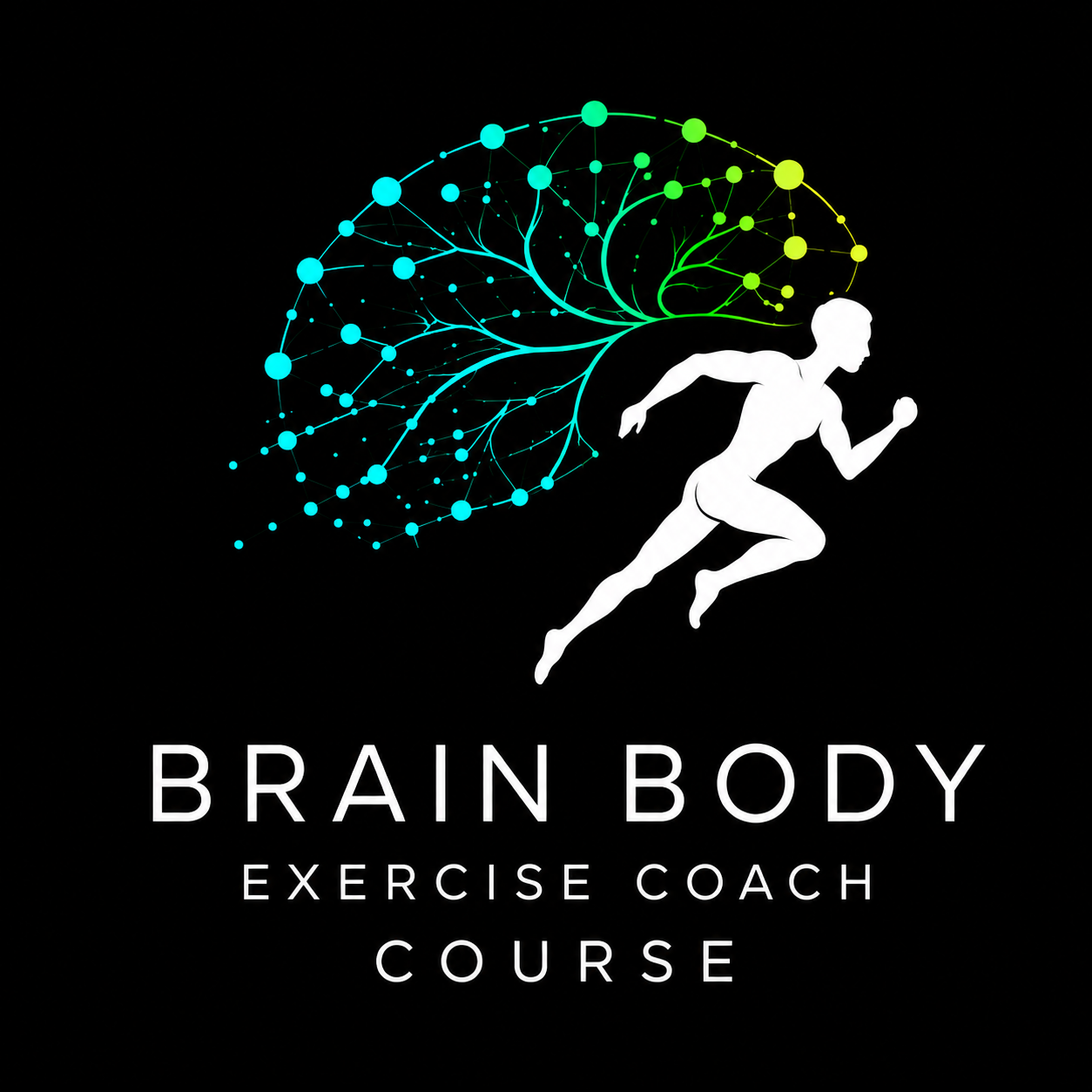 Brain Body Exercise Coach logo